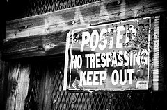 3873449800_850c9492f4_m